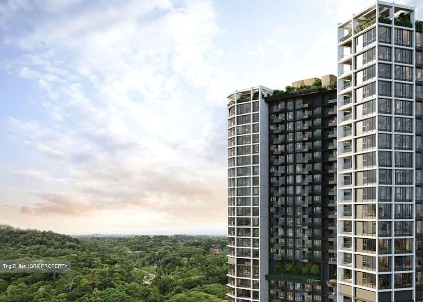 The Reserve Residences (D21), Apartment #587557861